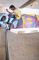 Skate Zint 321 belafoto